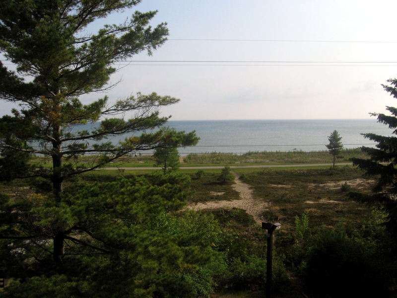 Driftwood Motel - View From Rear Of Motel